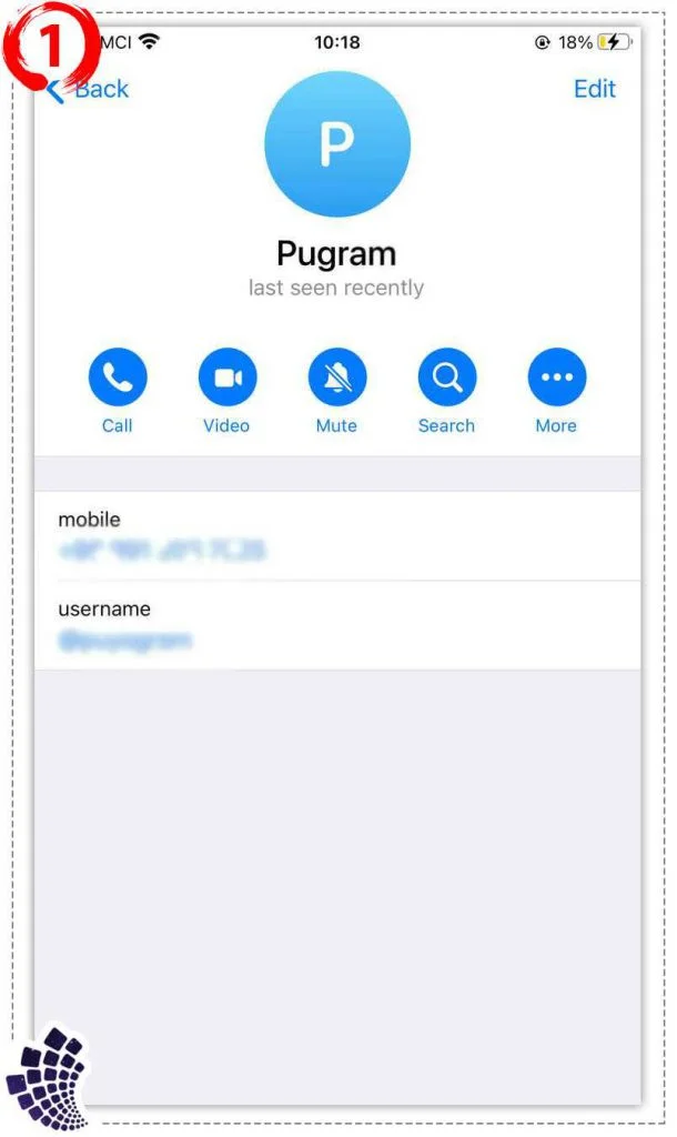 Delete Telegram contacts