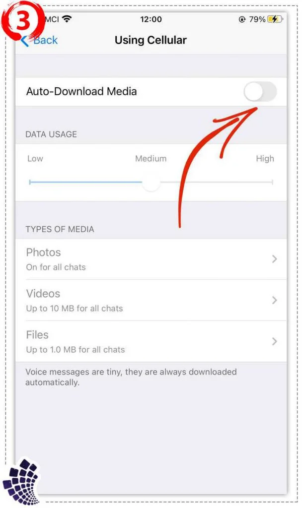 Automatic download of files in Telegram